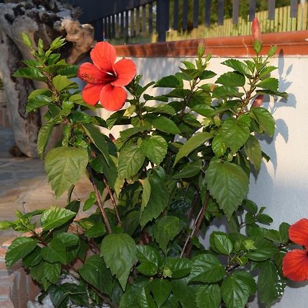 La Casa Di Ely Agropoli Exterior foto