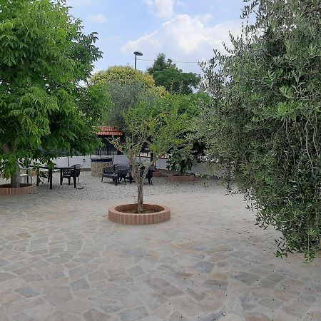 La Casa Di Ely Agropoli Exterior foto